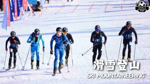 九游娱乐 产品 092724 42z