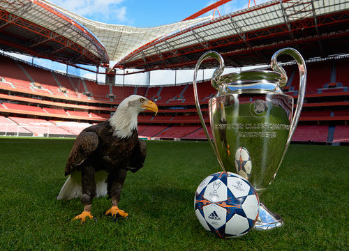 运动员来说 运动员来说